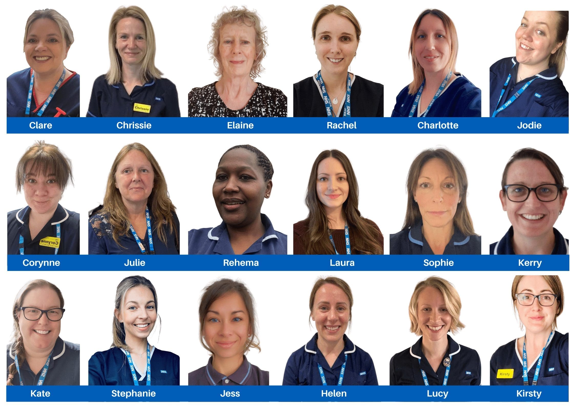 Meet the HFS team (1)