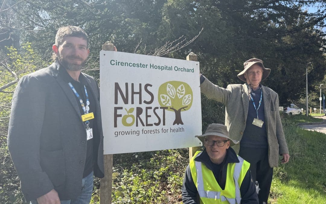 Supporting our Community Hospital Gardens