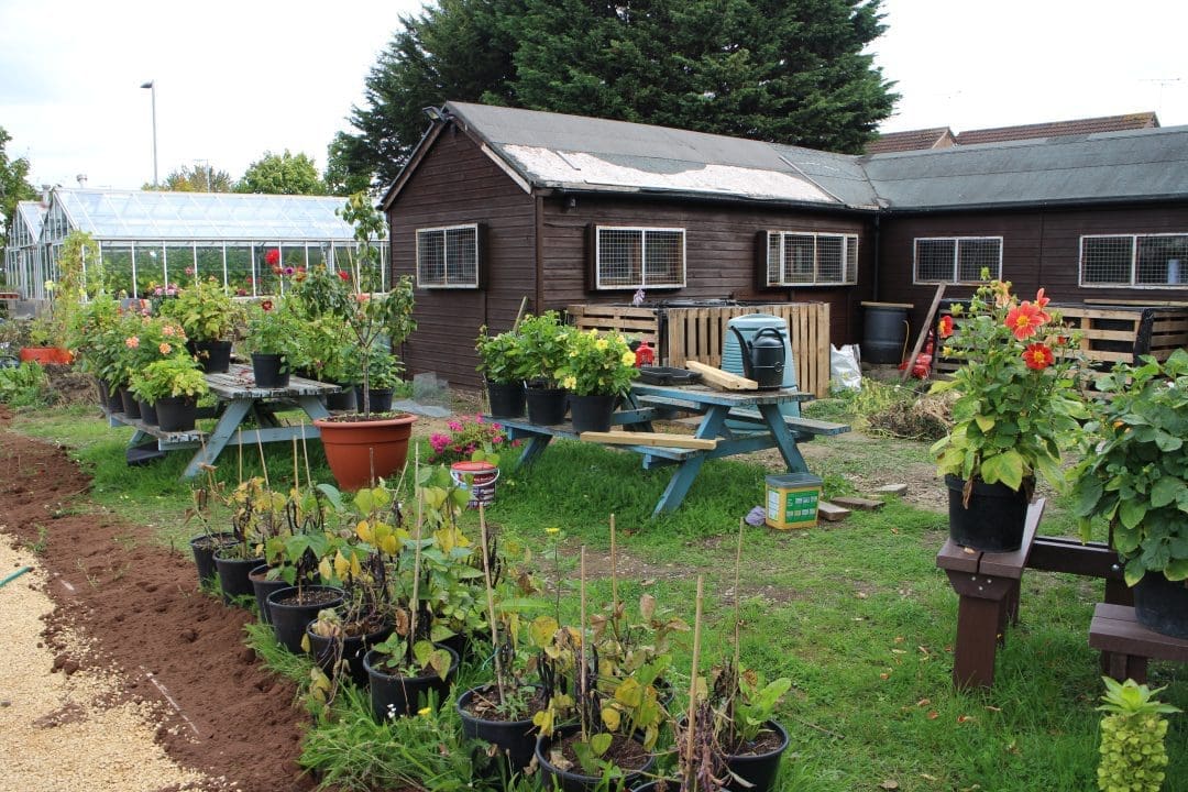 Montpellier allotment redevelopment project
