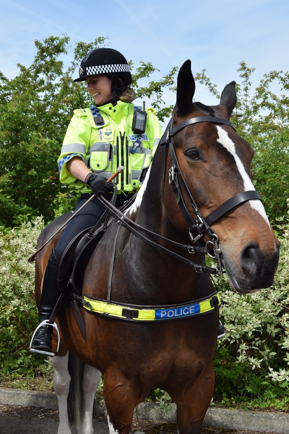 Mounted police 2019 BHday